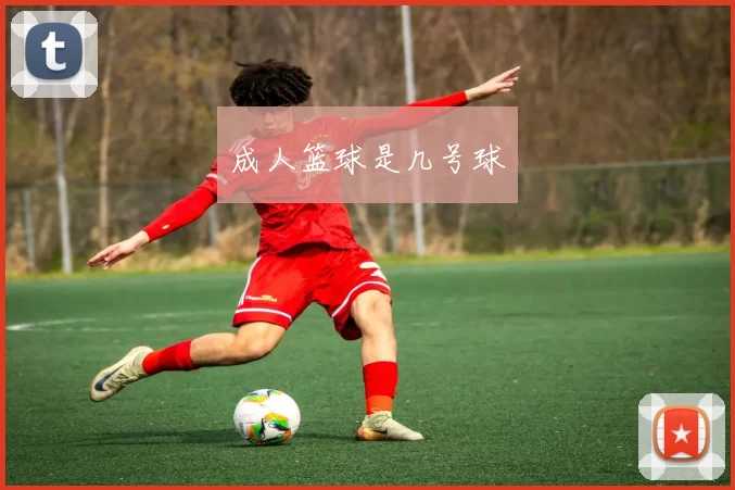 成人篮球是几号球