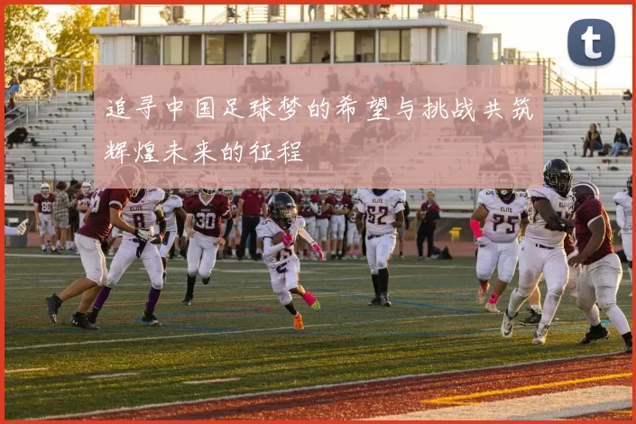 追寻中国足球梦的希望与挑战共筑辉煌未来的征程