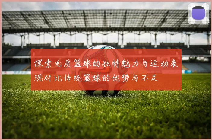 探索毛质篮球的独特魅力与运动表现对比传统篮球的优势与不足