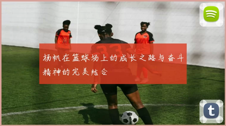 杨帆在篮球场上的成长之路与奋斗精神的完美结合