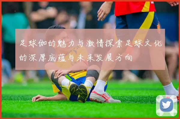 足球伽的魅力与激情探索足球文化的深厚底蕴与未来发展方向