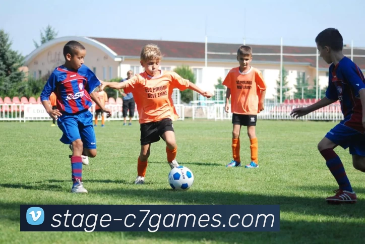 C7娱乐入口平台生态图