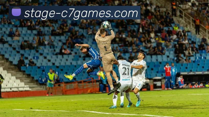 C7娱乐入口全站App